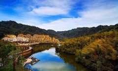 熱點(diǎn)聚焦｜118臺(tái)！貴州天鵝堡森林公園項(xiàng)目簽約韋伯